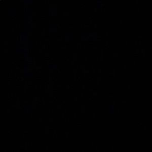 Meet your Posher, Yakelin